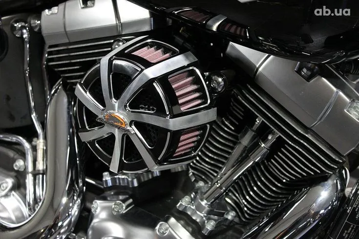 Harley-Davidson FLSTFB Image 7